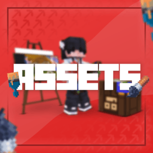 Assets Category
